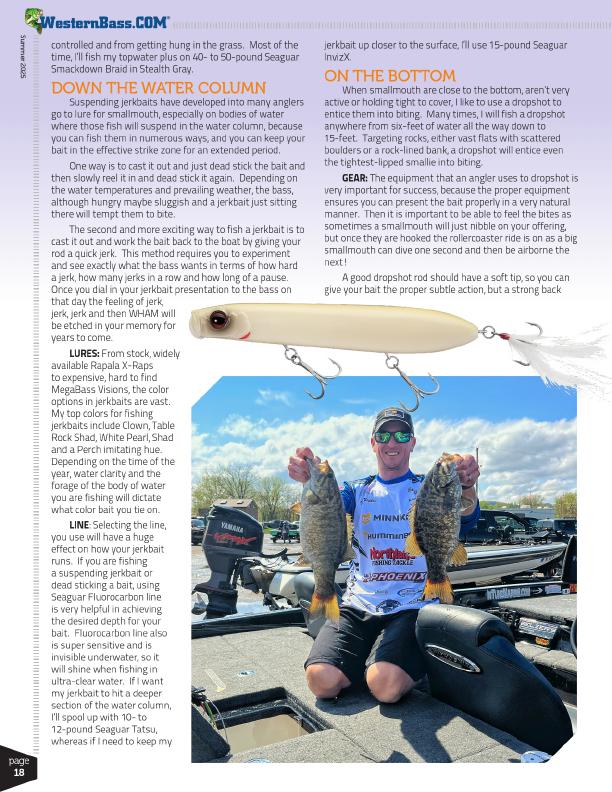 SMALLMOUTH TACTICS FROM TOP TO BOTTOM by Glenn Walker, Page 3