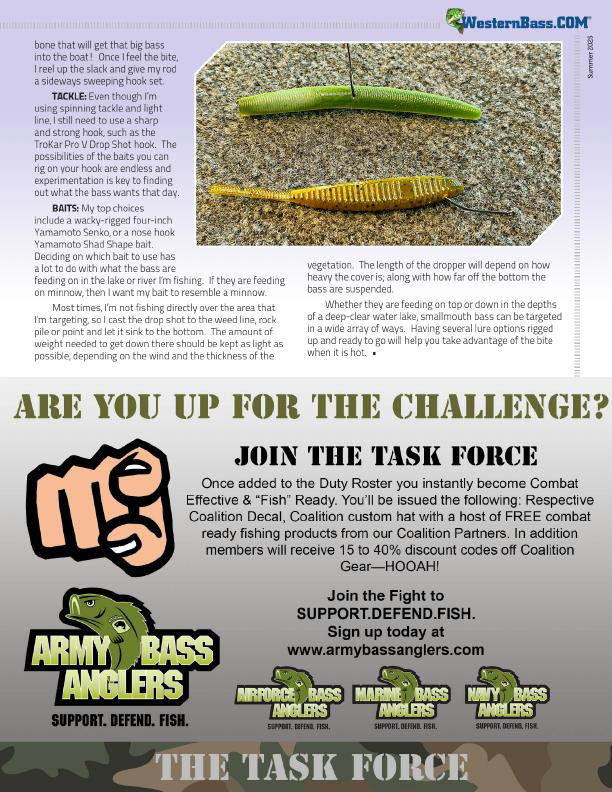 SMALLMOUTH TACTICS FROM TOP TO BOTTOM by Glenn Walker, Page 4