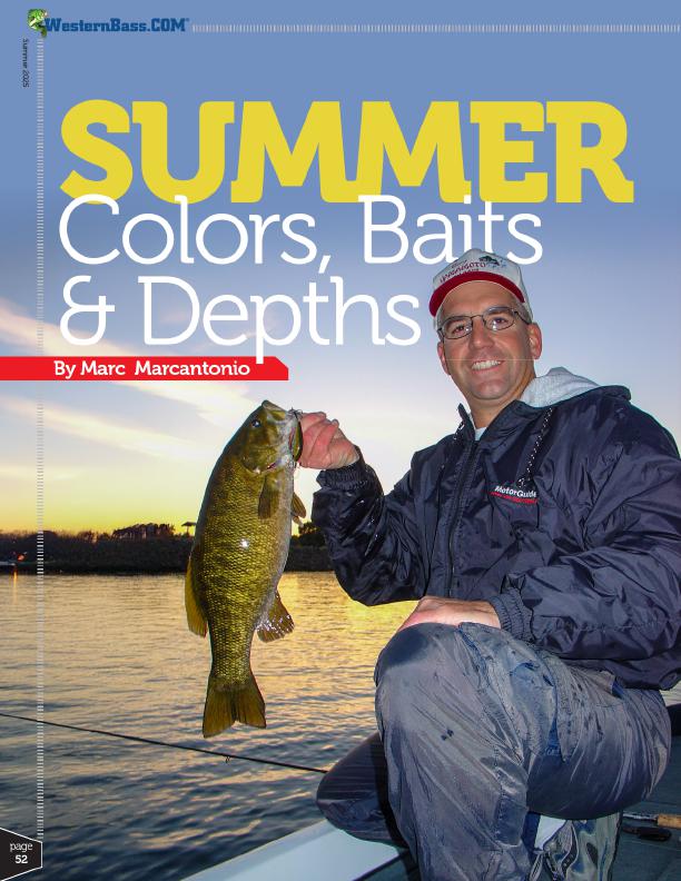 Summer Color and Depth Guide