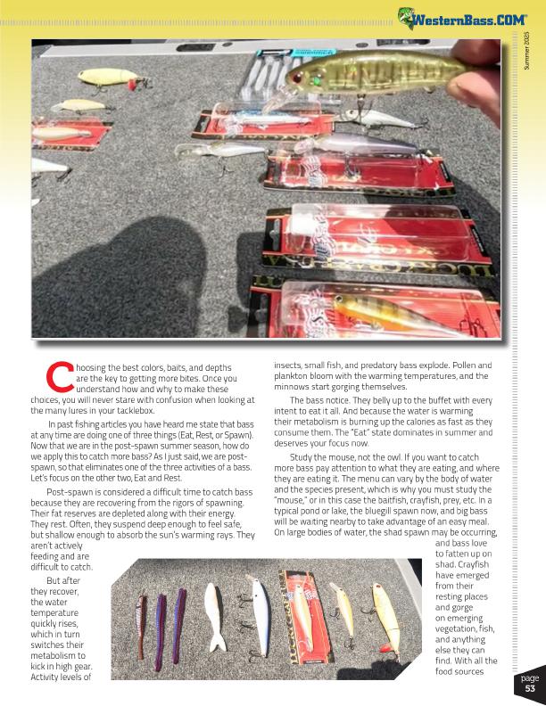 SUMMER COLORS, BAITS DEPTHS by Marc Marcantonio, Page 2