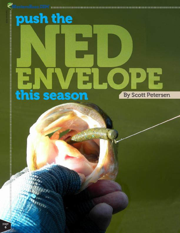 Pushing Ned Rig Tactics