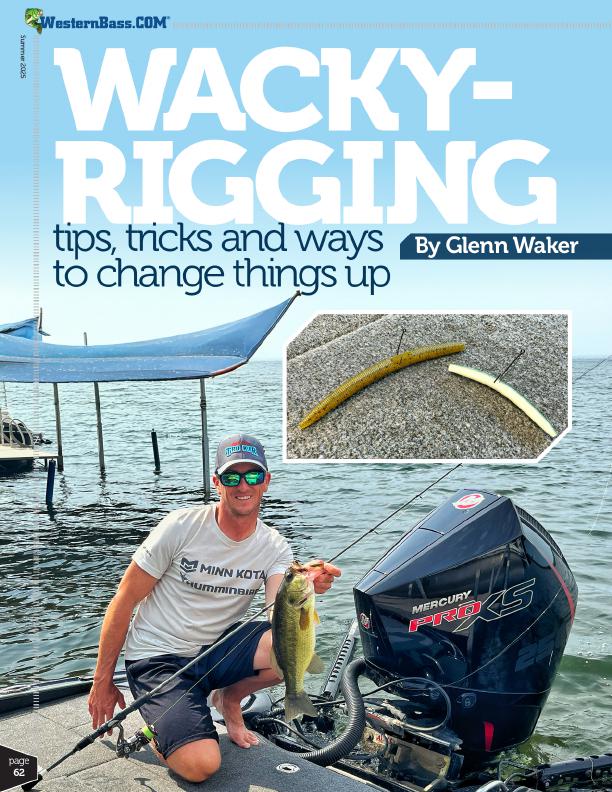 Wacky Rig Tips Tricks