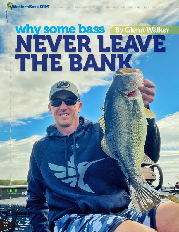 Summer Shallow Water Bass Fishing Patterns