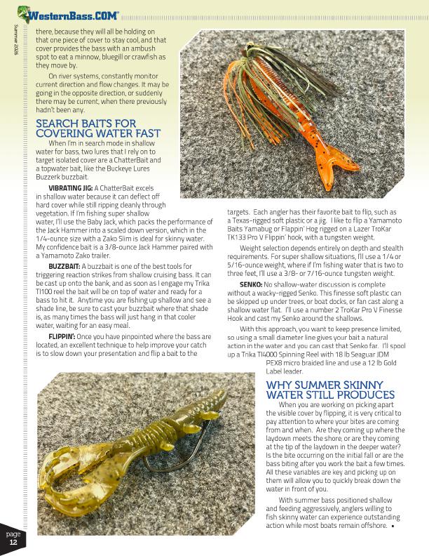 Wacky Rig and Flipping Tactics for Bass