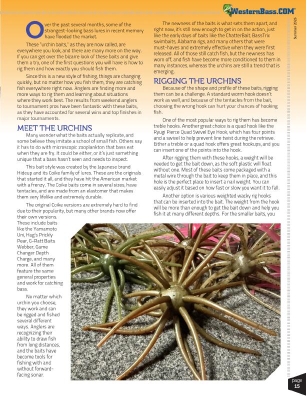 Rigging Urchin Baits for Bass Fishing