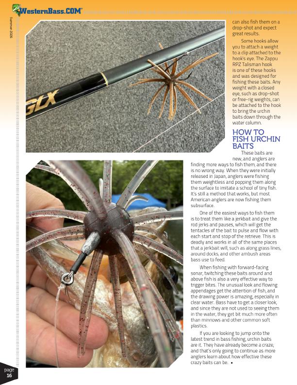 Fishing Techniques for Urchin Baits