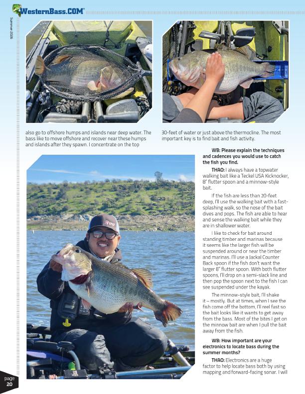 Using Electronics to Find Summer Bass