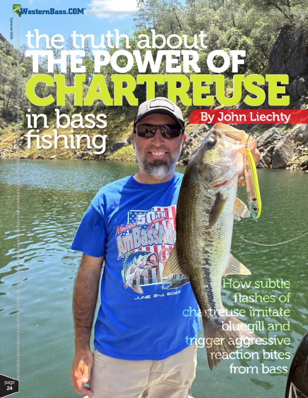 Chartreuse Soft Plastic Bass Fishing Tips