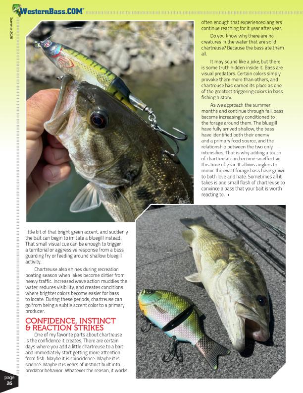 24, Page 3