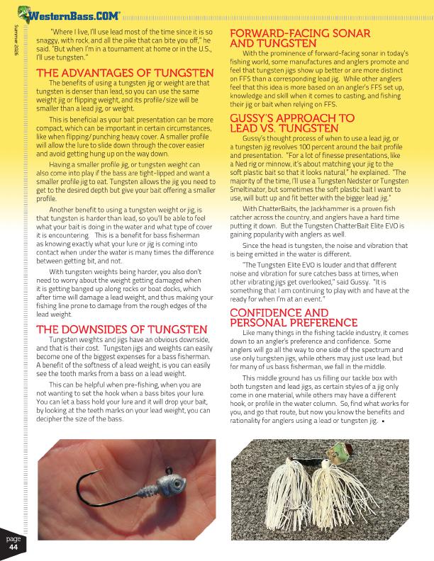 Tungsten Jigs and Forward-Facing Sonar
