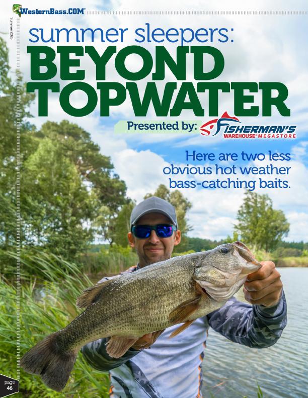 Less Obvious Summer Bass Fishing Lures