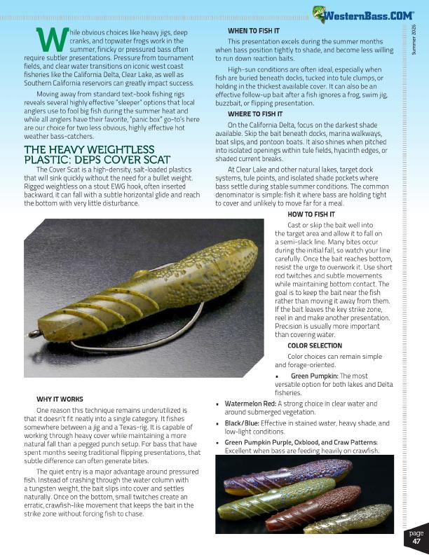 Summer Bass Fishing Techniques Beyond Topwater