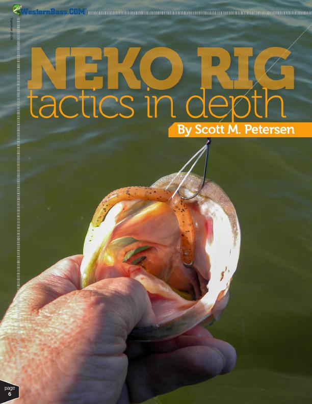 Neko Rig for Pressured Bass Fishing