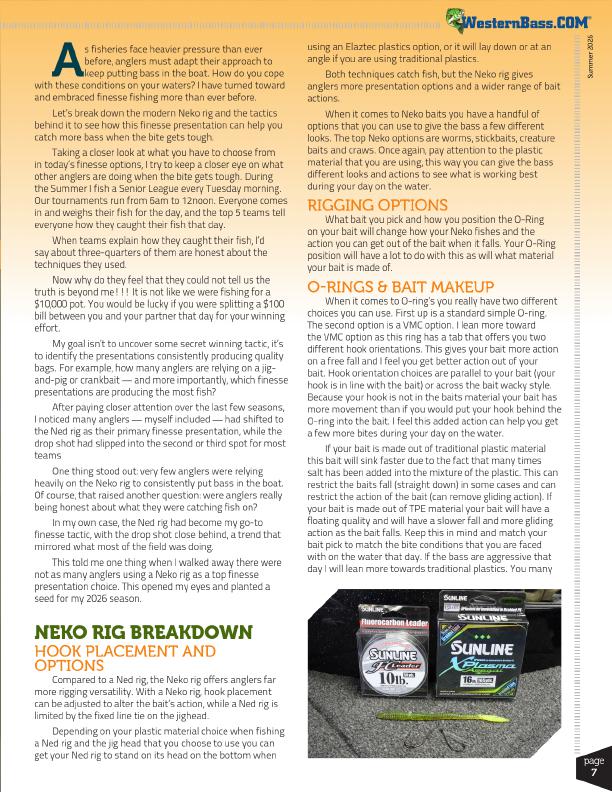 Neko Rig Hook Placement and O-Ring Setup