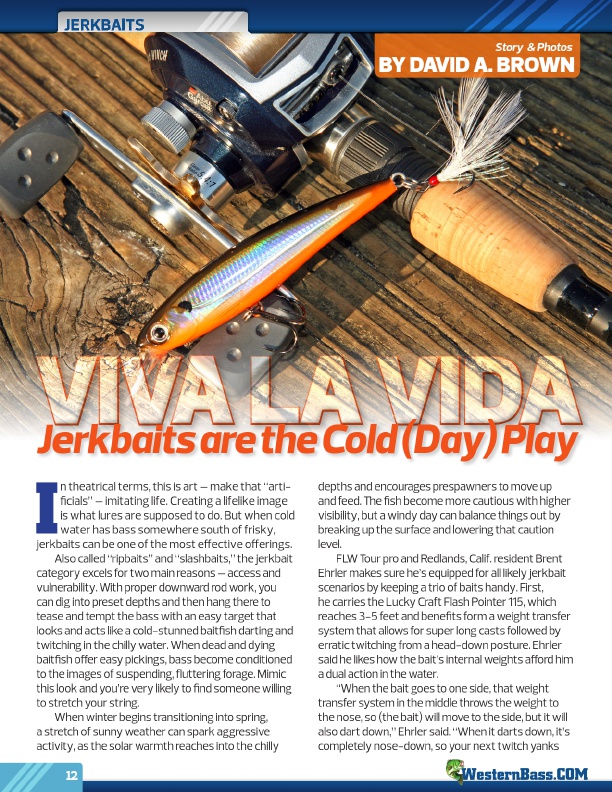 Viva La Vida: Jerkbaits are the Cold (Day) Play
by David A. Brown