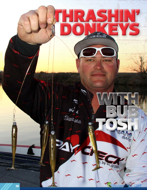Thrashin' Donkeys with bub tosh: Fishin’ an Umbrella Rig
by Jody Only
