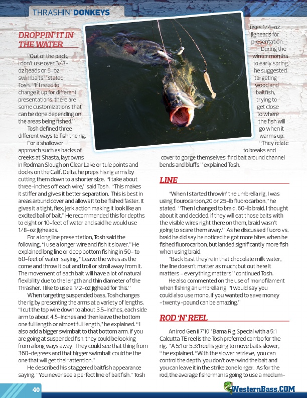 Westernbass Magazine - Bass Fishing Tips And Techniques - December 2012, Page 40