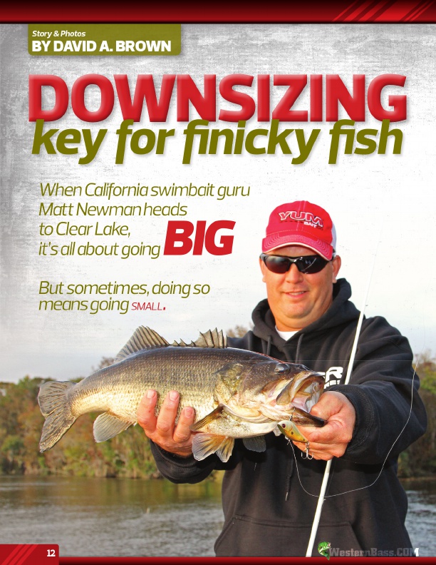Downsizing - Key For Finicky Fish by David A. Brown