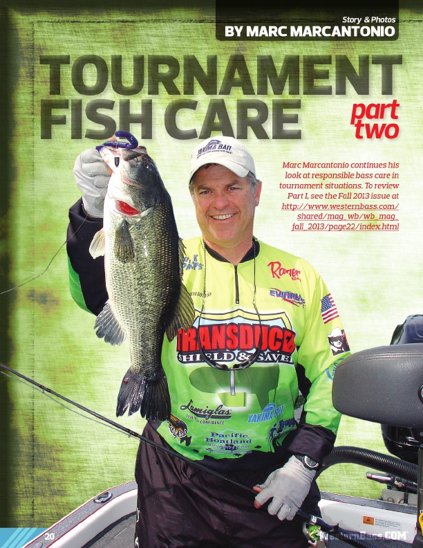 Tournament Fish Care: Part Two by Marc Marcantonio