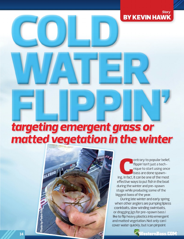 Cold Water Flippin’: Targeting Emergent  Grass or Matted  Vegetation In The Winter
by Kevin Hawk