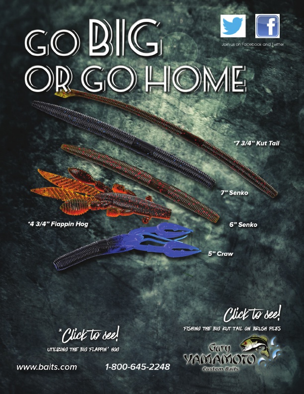 Westernbass Magazine - FREE Bass Fishing Tips And Techniques - Winter 2016, Page 41