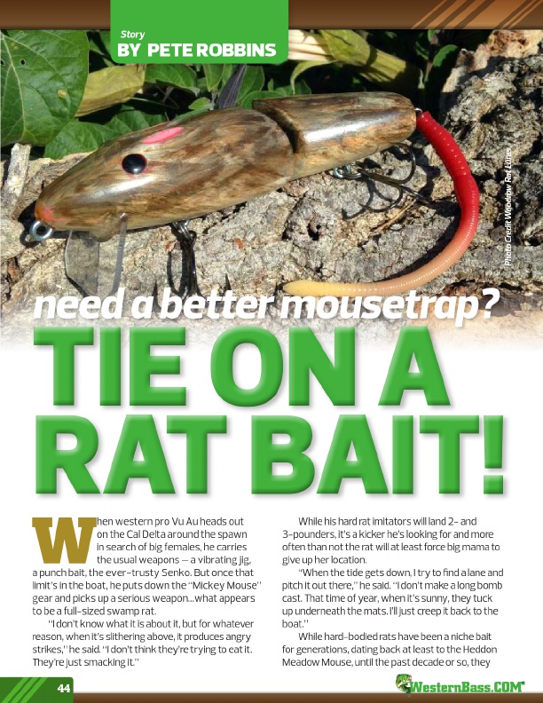 Need A Better Mousetrap?
TIE On A Rat Bait!
by Pete Robbins
