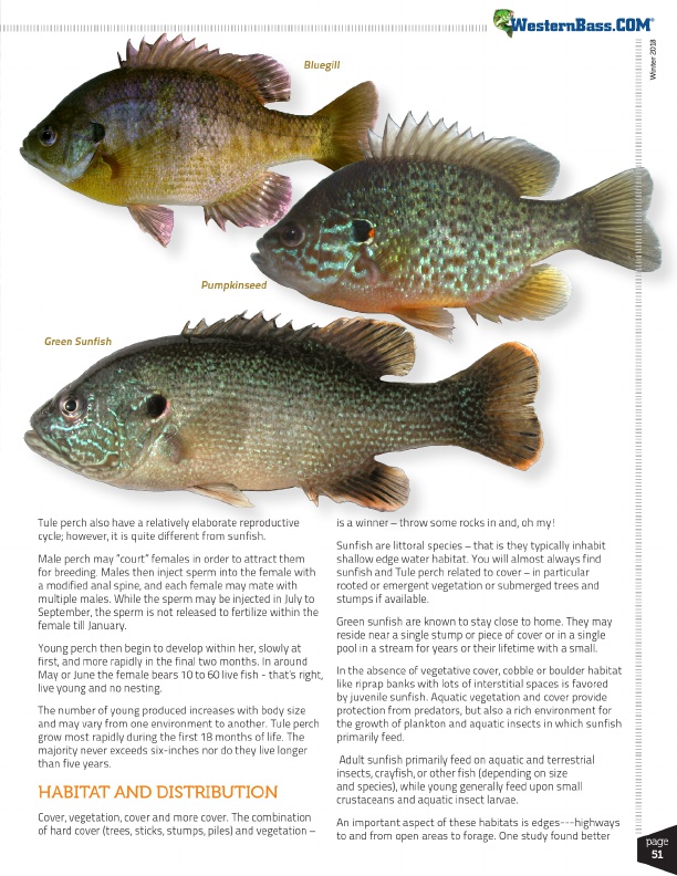 bluegill, pumpkinseed and green baitfish habitat and distribution for bass fishing forage