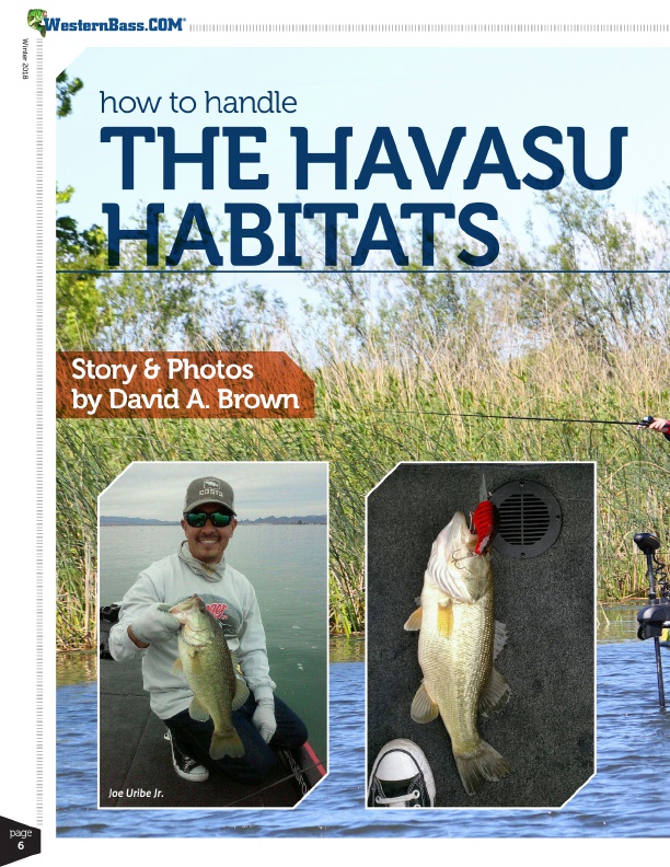 Pro Anglers offer bass fishing tips for lake Havasu