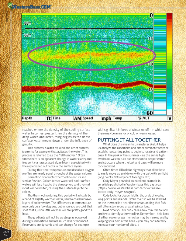 Identifying and Understanding Thermocline by Mike Gorman