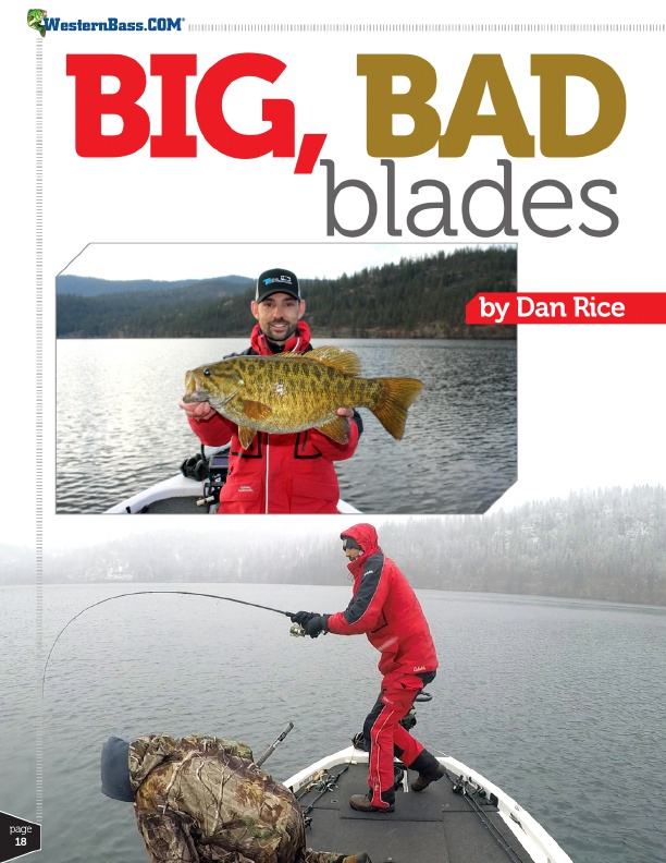 Blade Baits for Cold Water Bassin