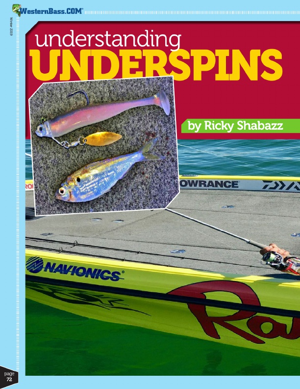 Underspins For Suspended and Finicky Bass