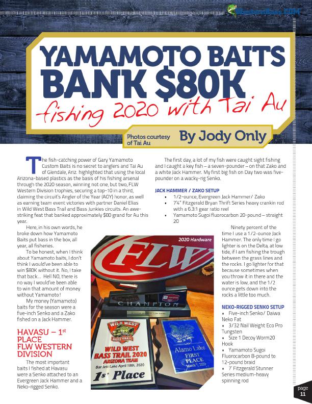 2020 The Year for Yamamoto Baits