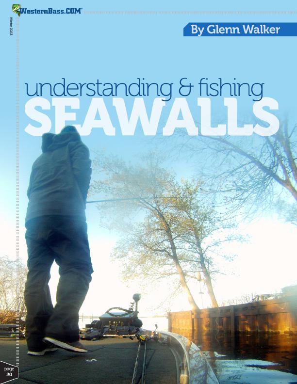 Bass hold on seawalls