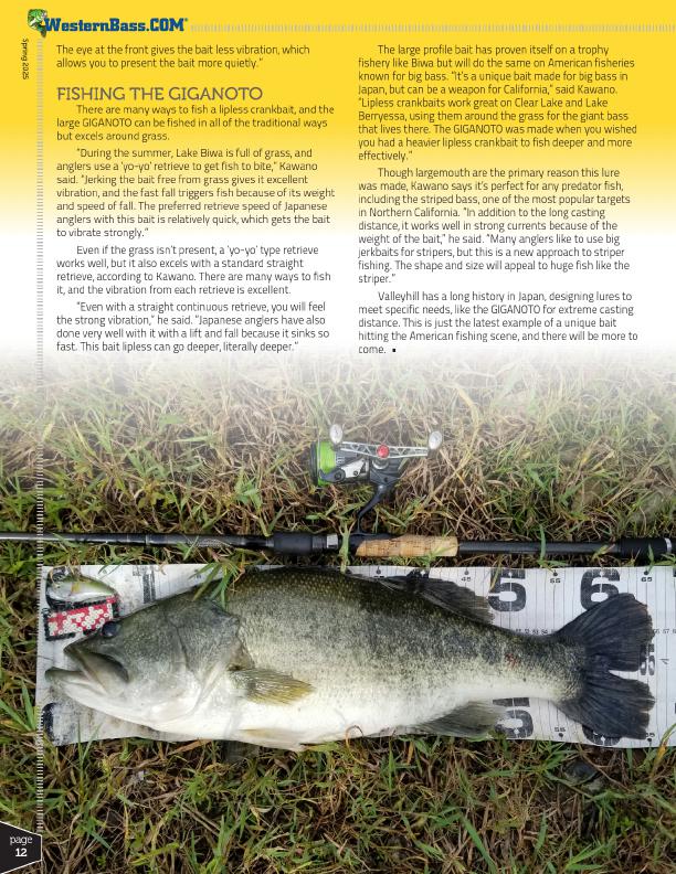 Meet the Valleyhill Giganto by Tyler Brinks, Page 3