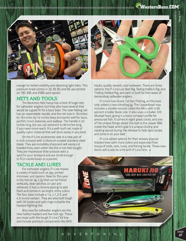 PLine in 2026, Page 2