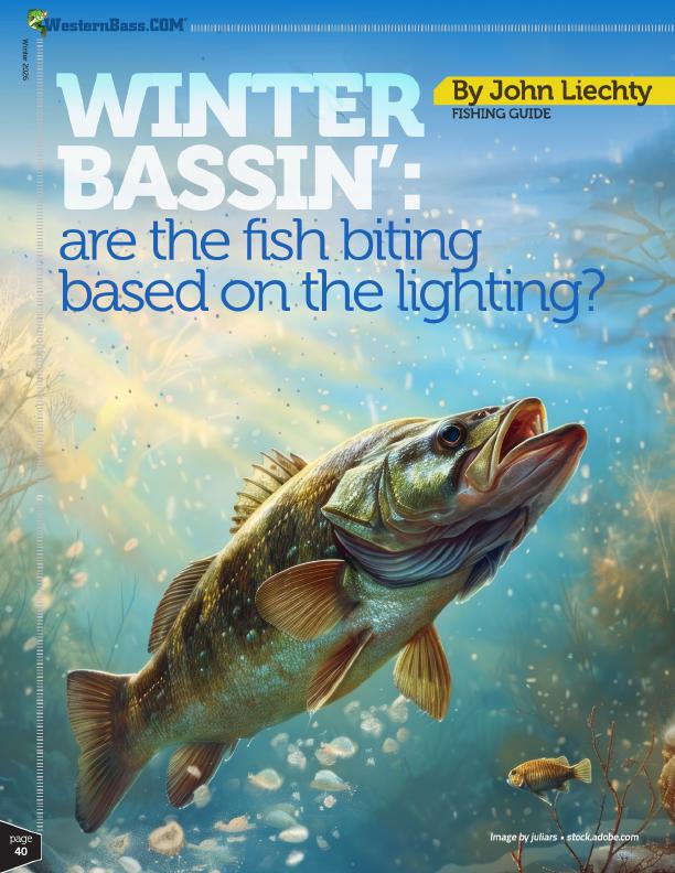 Understanding winter bass behavior