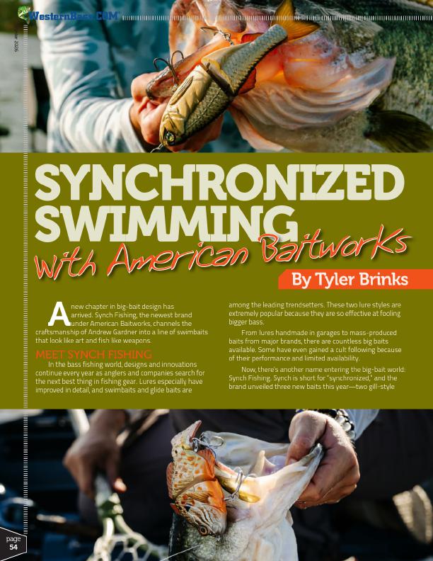 Glidebait performance insights